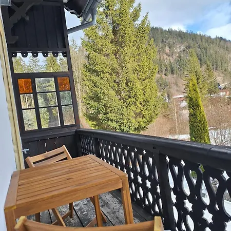 Ausblick Mit Balkon Im Ski- Und Wandergebiet Apartment